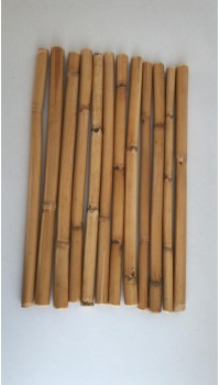 Bambu 100 Cm 12 'li Paket