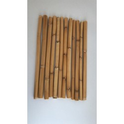 Bambu 150 Cm 12 'li Paket