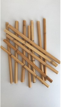 Bambu 10 Cm 12 'li Paket