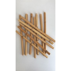 Bambu 10 Cm 12 'li Paket