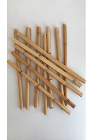Bambu 10 Cm 12 'li Paket