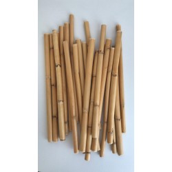 Bambu 30 cm 12'li Paket