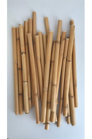 Bambu 30 cm 12'li Paket