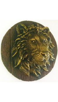 ASLAN KAFASI