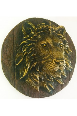ASLAN KAFASI