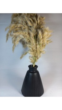 PAMPAS VAZOSU SİYAH