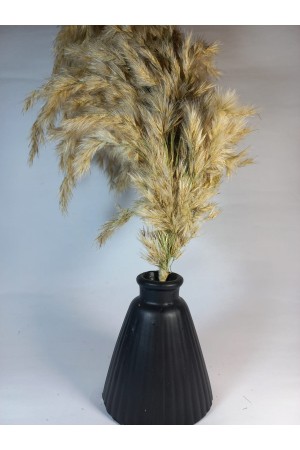 PAMPAS VAZOSU SİYAH