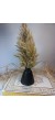 PAMPAS VAZOSU SİYAH