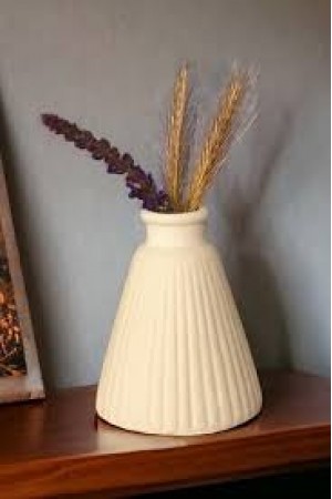 PAMPAS VAZO
