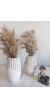 2 Lİ BEYAZ ISKANDİNAV PAMPAS VAZO