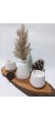 PAMPAS VAZOLU TABAKLI İKİLİ TEALİGHT MUMLUK SET BEYAZ
