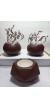 Dekoratif Chocolate Kahve Saksı 3'lü Set - Kaktüs/Sukulent Saksısı,Çiçeklik Seti