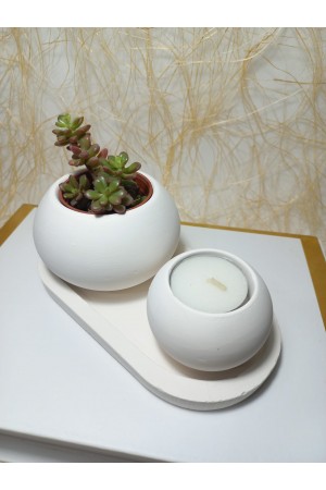 Tabaklı Düz Yuvarlak Sukulent Saksı ve Mumluk Set, Hediyelik Dekoratif Obje Beyaz