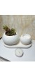 Tabaklı Düz Yuvarlak Sukulent Saksı ve Mumluk Set, Hediyelik Dekoratif Obje Beyaz