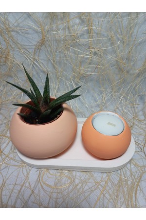 Tabaklı Düz Yuvarlak Sukulent Saksı ve Mumluk Set, Hediyelik Dekoratif Obje Turuncu