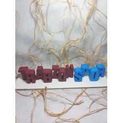 TRABZONSPOR Fanatik Taraftarına Özel Dekoratif Ev&Ofis Hediyelik Takım İsmi