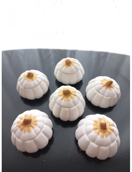 Mini Balkabağı 6'lı Lokumluk, Kahve Yanı Sunumluk Beyaz Dekoratif Obje Mini Balkabağı 6'lı Lokumluk, Kahve Yanı Sunumluk Beyaz Dekoratif Obje