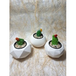 Dekoratif Beyaz Saksı 3'lü Set - Kaktüs/Sukulent Saksısı,Çiçeklik Seti