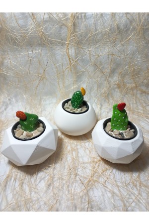 Dekoratif Beyaz Saksı 3'lü Set - Kaktüs/Sukulent Saksısı,Çiçeklik Seti