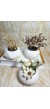 Dekoratif Beyaz Saksı 3'lü Set - Kaktüs/Sukulent Saksısı,Çiçeklik Seti Dekoratif Beyaz Saksı 3'lü Set - Kaktüs/Sukulent Saksısı,Çiçeklik Seti