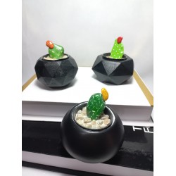 Dekoratif Siyah Saksı 3'lü Set - Kaktüs/Sukulent Saksısı,Çiçeklik Seti