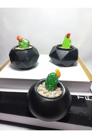 Dekoratif Siyah Saksı 3'lü Set - Kaktüs/Sukulent Saksısı,Çiçeklik Seti