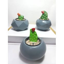 Dekoratif Gri Renk Saksı 3'lü Set - Kaktüs/Sukulent Saksısı,Çiçeklik Seti