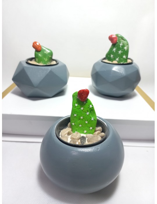 Dekoratif Gri Renk Saksı 3'lü Set - Kaktüs/Sukulent Saksısı,Çiçeklik Seti Dekoratif Gri Renk Saksı 3'lü Set - Kaktüs/Sukulent Saksısı,Çiçeklik Seti