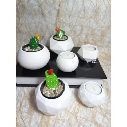 6 Parça Beyaz Ev ve Ofis Aksesuarı Sukulent/Kaktüs Saksı, Mumluk Set Dekoratif Obje